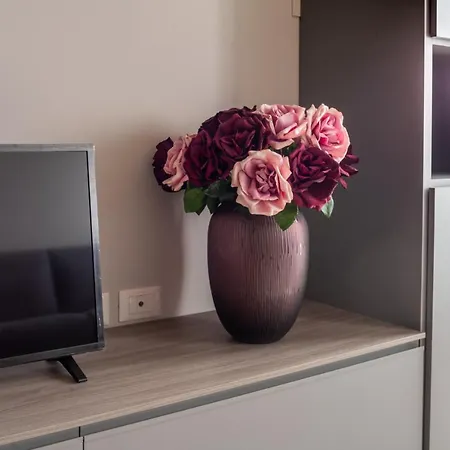 Appartamento San Pietro Cozy R&r